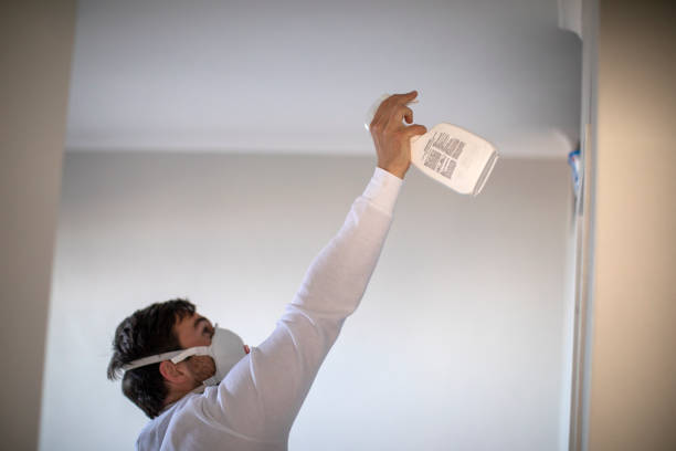 Best Basement Mold Remediation in Brooktrails, CA