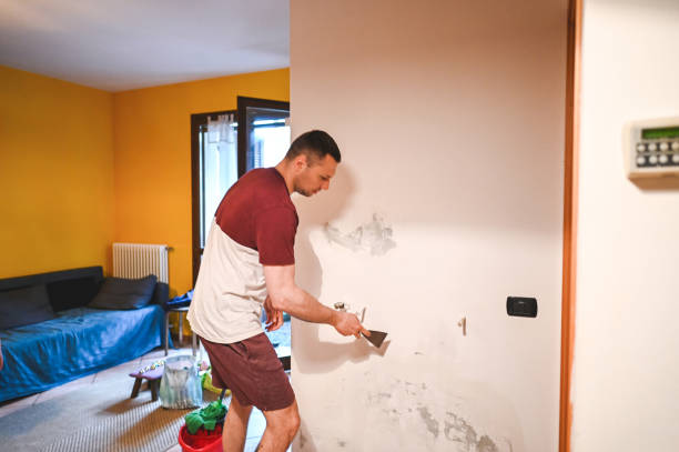 Best Localized Mold Remediation (e.g., coastal areas, humid climates) in Brooktrails, CA